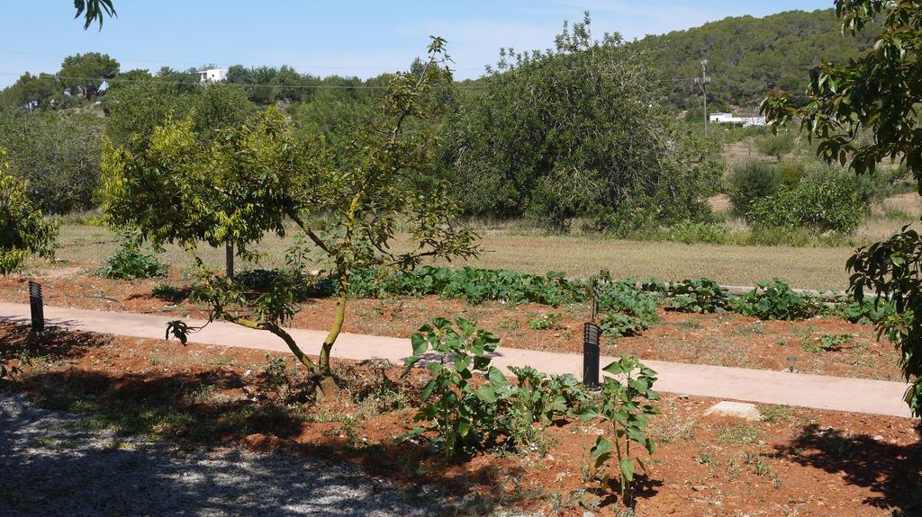 Can Gat Sant Carles de Peralta Rom bilde